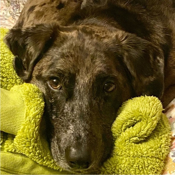 FOLLOW THE JONESES TO 400K! - Picture 7 of 16